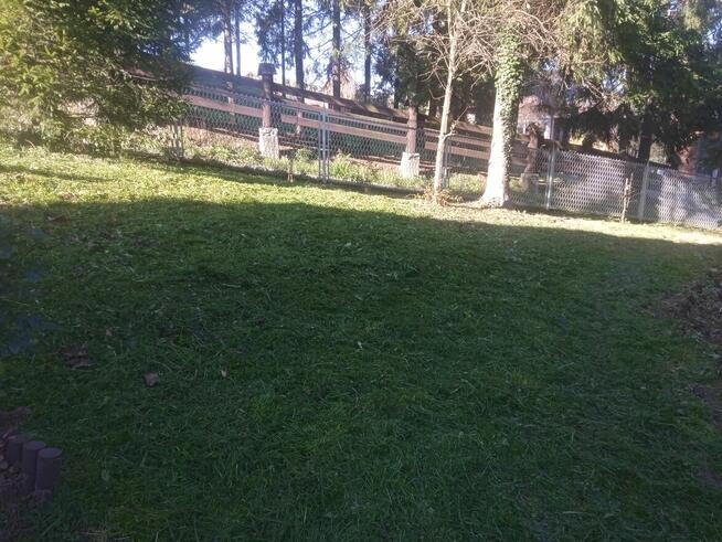 Zbieranie ,grabienie lisci.Pomoc na ogrodzie