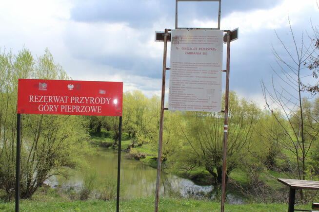 Wycieczki po Polsce i nie tylko