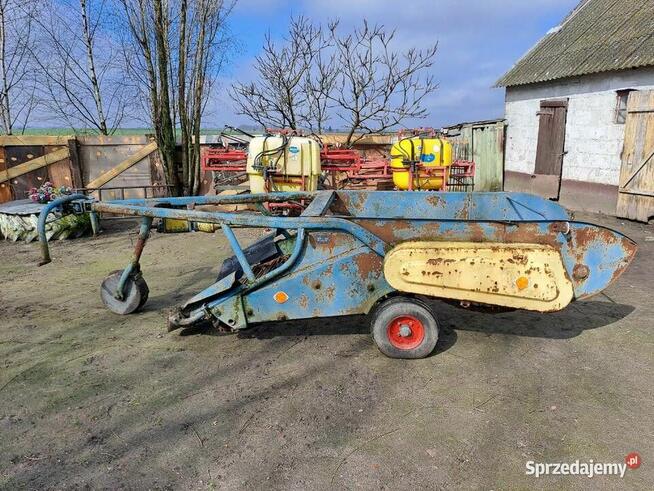 Kopaczka Elewatorowa Do Ziemniaków Cebuli Buraczka Warzyw