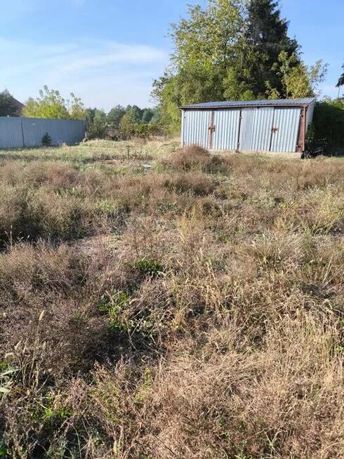 Grabienie Liści , Odśnieżanie , Koszenie trawy , Wyc. drzew