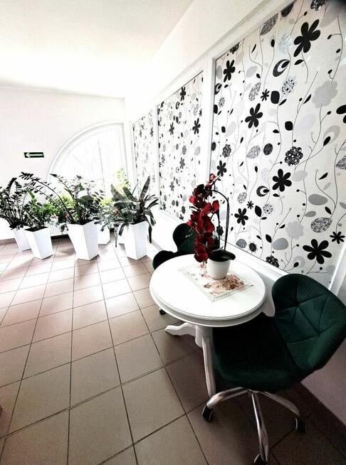 Do wynajęcia lokal 32 mkw. Ustrzyki Dolne - ścisłe centrum