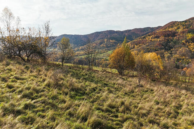 Na sprzedaż działka z potencjałem - Tylmanowa