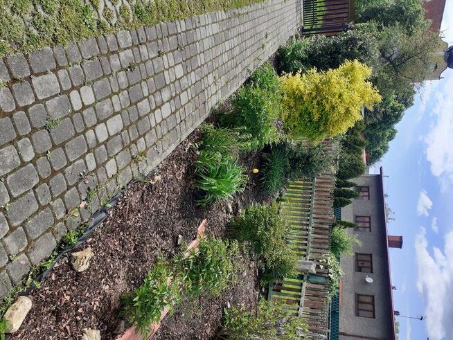 Sprzedam gospodarstwo rolne OKAZJA.