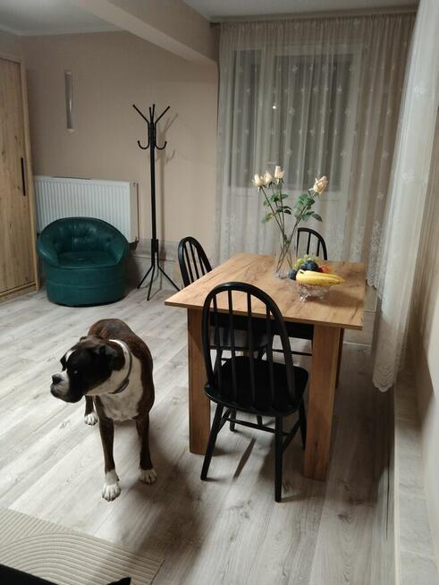 Samodzielny niezależny pokój z osobnym wejściem