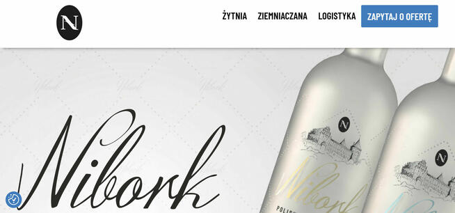 Nowoczesne strony WWW WordPress – nieszablonowe projekty