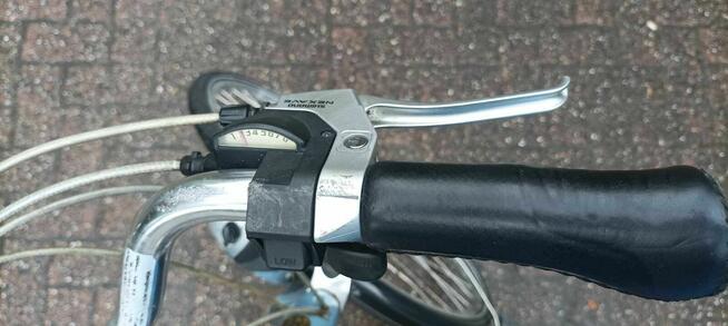 Rower Trekkin/Miejski Gazelle Luzern GoldLine (Holandia)