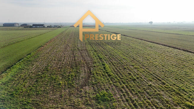 Na sprzedaż działka rolna 1,0969ha Ślesin