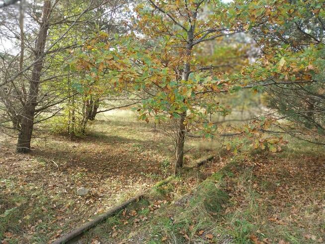 Działka na sprzedaż - 13 359 m² - Karlino