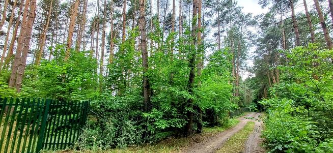 Działka budowlana Włodzimierz gm. Wodzierady