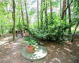 Działka budowlana Włodzimierz gm. Wodzierady