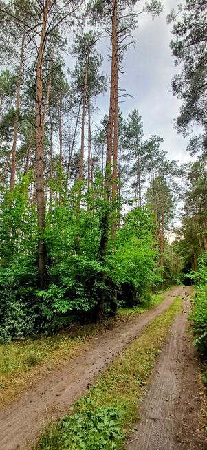 Działka budowlana Włodzimierz gm. Wodzierady