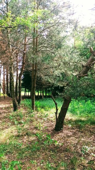 Działka rolno-budowlana Łódź Łódź-Górna, Łódź-Górna