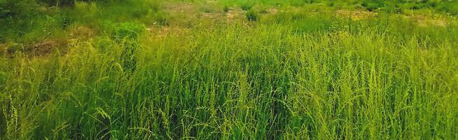 Działka rolno-budowlana Łódź Łódź-Górna, Łódź-Górna