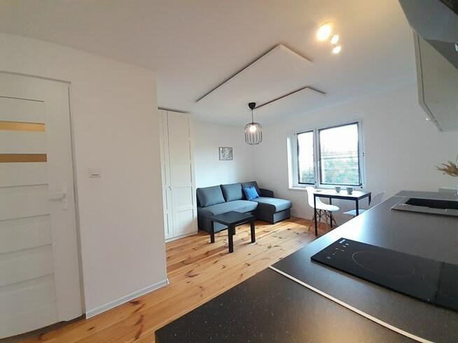 Tomasza 5, Brynów, jasne studio, ZWIERZĘTA OK