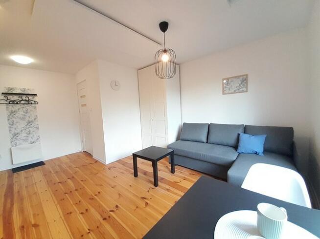 Tomasza 5, Brynów, jasne studio, ZWIERZĘTA OK