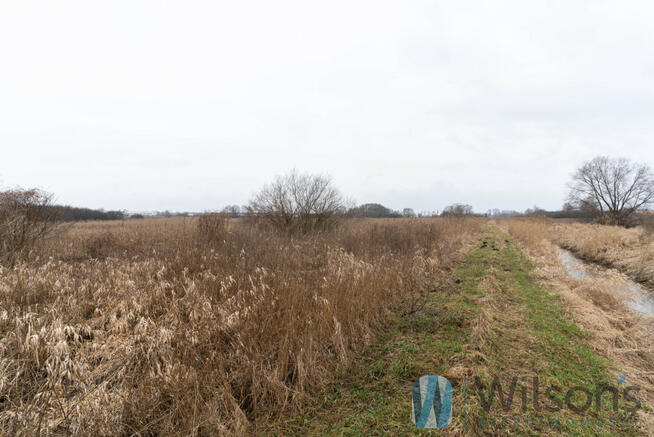 Działka rolna Falenty Nowe gm. Raszyn, Jaworowska