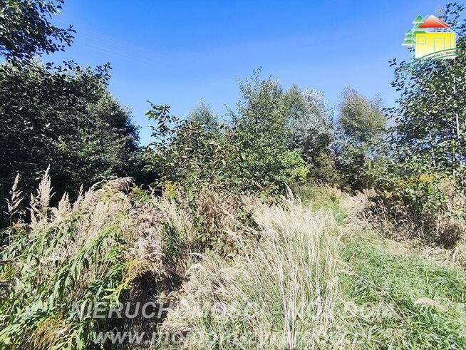 Działka budowlana Korytów A gm. Radziejowice