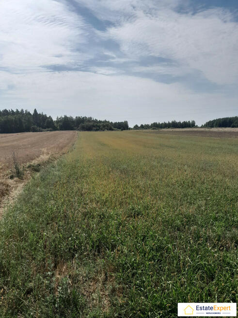 atrakcyjna działka rolna Skrzelczyce