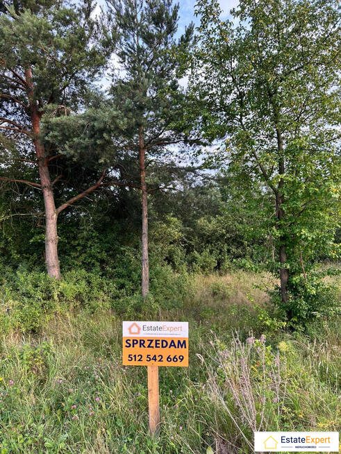 Wyjątkowa działka z ogromnym potencjałem w Serbinowie k. Kielc