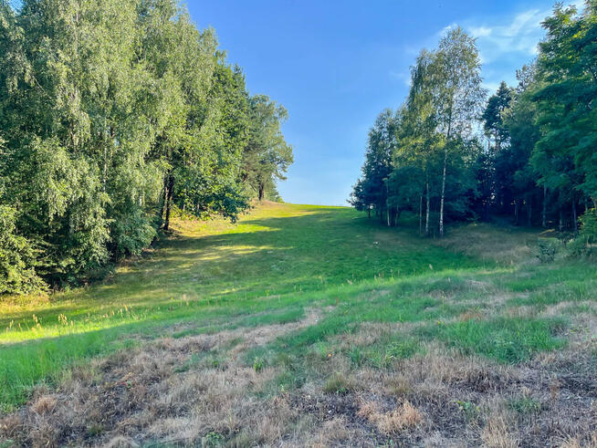 Działka budowlana - 2000m2 - Kuczów