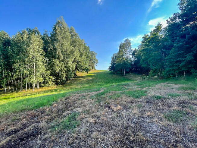 Działka budowlana - 2000m2 - Kuczów