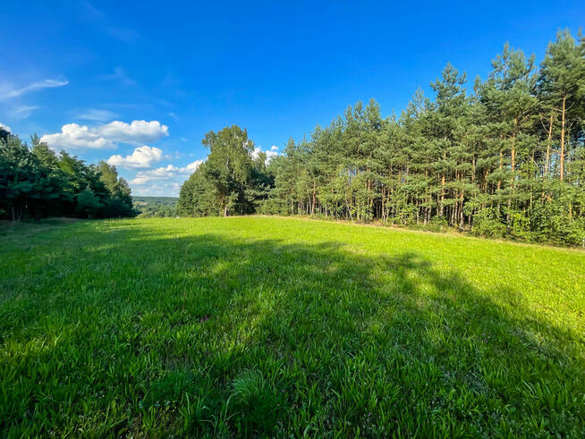 Działka budowlana - 2000m2 - Kuczów