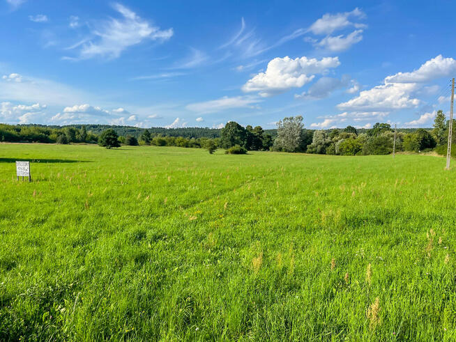 Działka budowalna z WZ - 1,05ha - Michałów