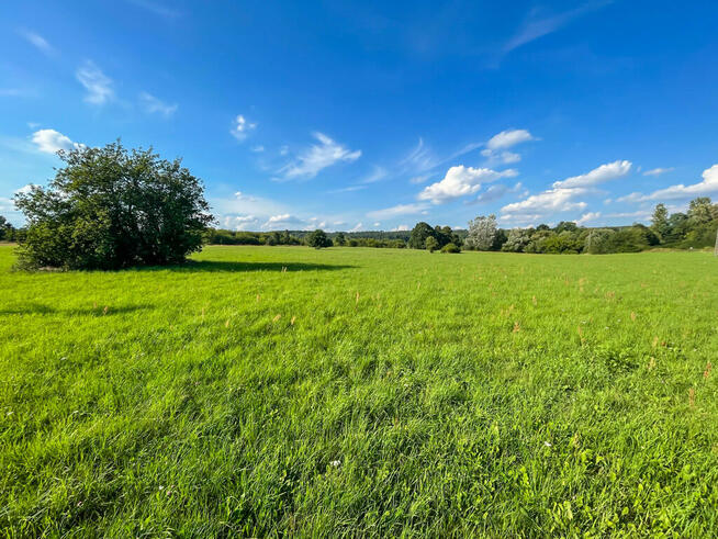 Działka budowalna z WZ - 1,05ha - Michałów