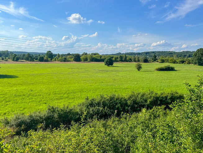Działka budowalna z WZ - 1,05ha - Michałów