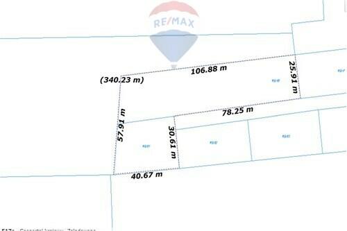 Działka budowlana z prywatnym lasem w Błędowie