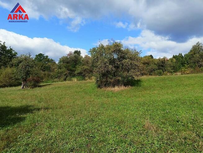 Działka Kanina gm. Limanowa