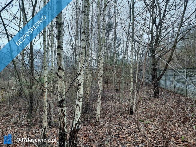 Dom, hala produkcyjna, budynek gospodarczy, działka 0,19 ha