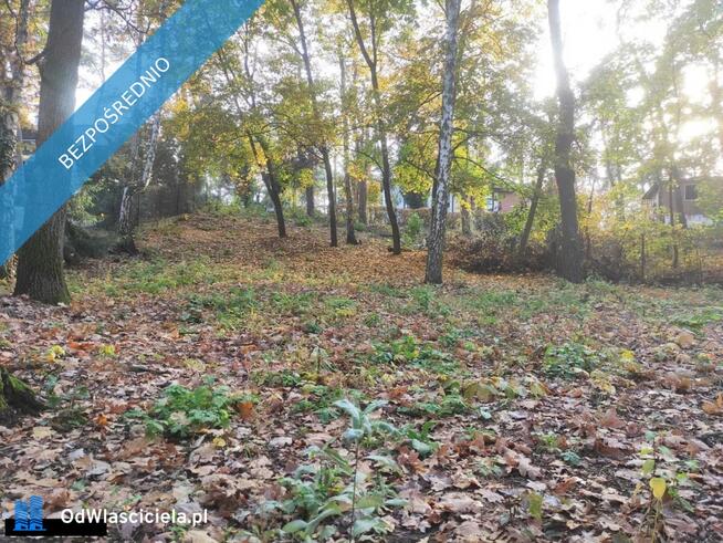 Łomianki, Dąbrowa Leśna, działka 1500m2