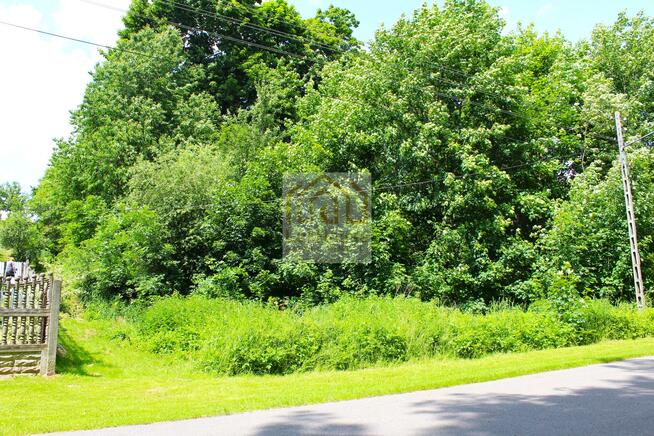 Działka budowlana Biała Wielka gm. Lelów, Walentego Zwierkowskiego