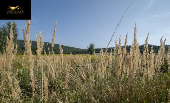 Działka rolna Tąpadła gm. Marcinowice