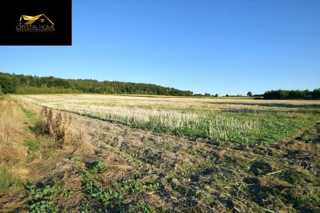 Działka rolna Tąpadła gm. Marcinowice