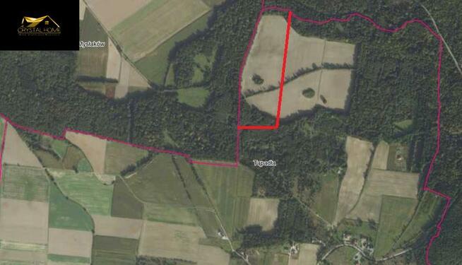 Działka rolna Tąpadła gm. Marcinowice