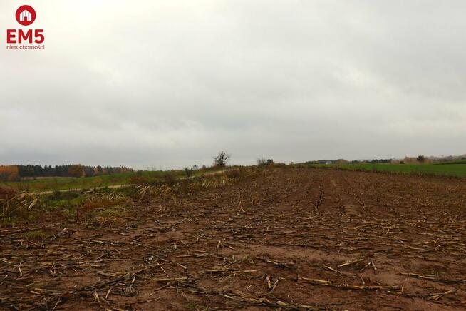 Działka rolno-budowlana Żegary gm. Sejny