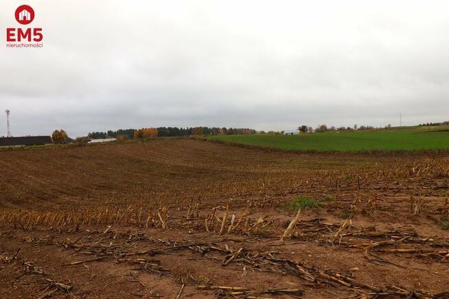 Działka rolno-budowlana Żegary gm. Sejny
