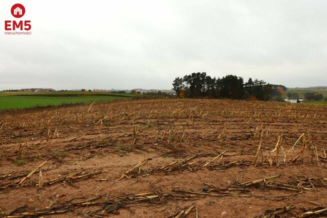 Działka rolno-budowlana Żegary gm. Sejny