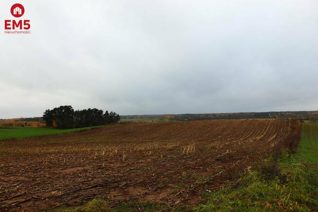 Działka rolno-budowlana Żegary gm. Sejny
