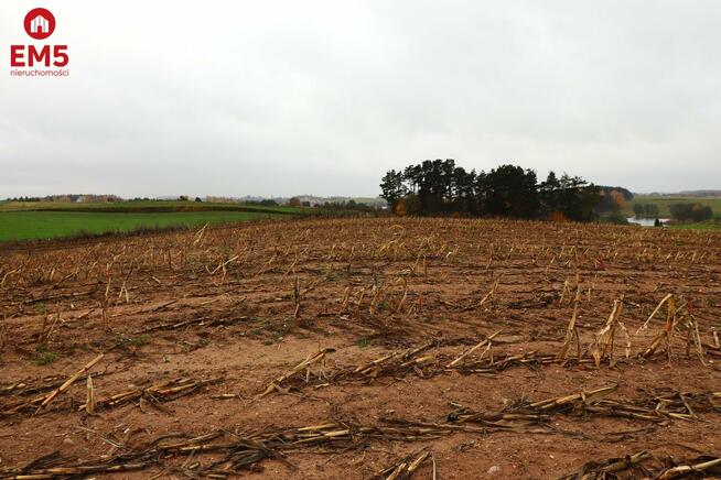 Działka rolno-budowlana Żegary gm. Sejny