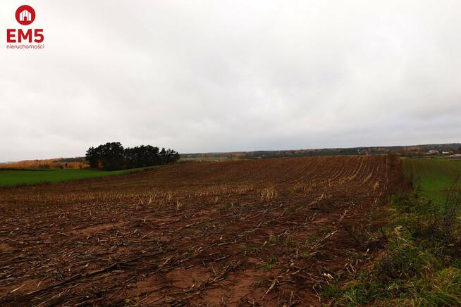 Działka rolno-budowlana Żegary gm. Sejny