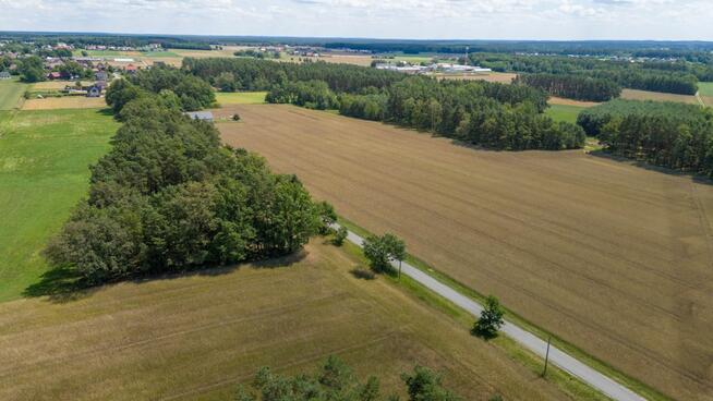 Działka budowlana Zborowskie gm. Ciasna, Dolna