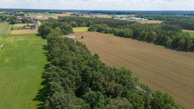 Działka budowlana Zborowskie gm. Ciasna, Dolna