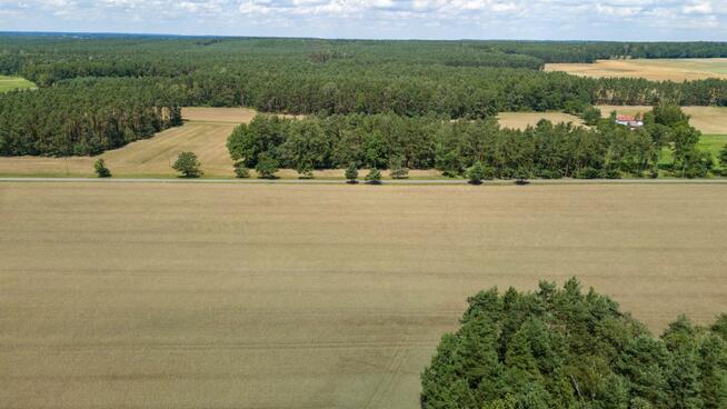 Działka budowlana Zborowskie gm. Ciasna, Dolna
