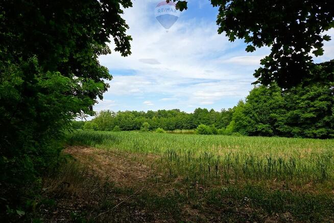 Działka przy jeziorze, blisko Pniew