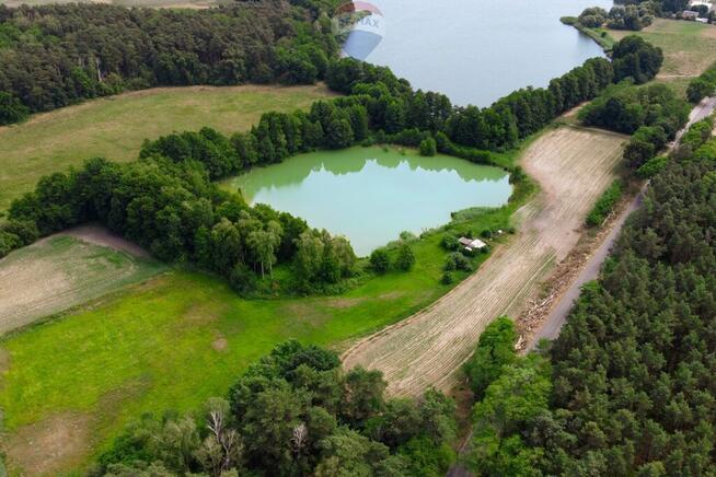 Działka przy jeziorze, blisko Pniew