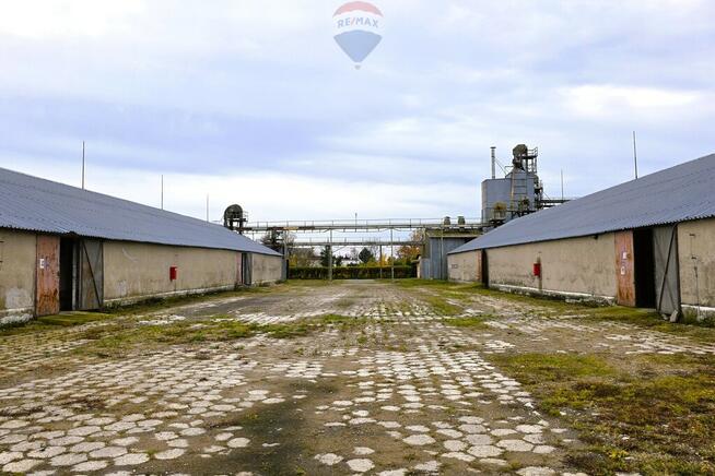 Baza magazynowa, silosy, waga - Barciany
