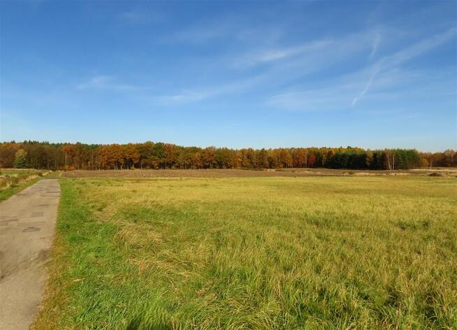 Działka budowlana Chełm Śląski